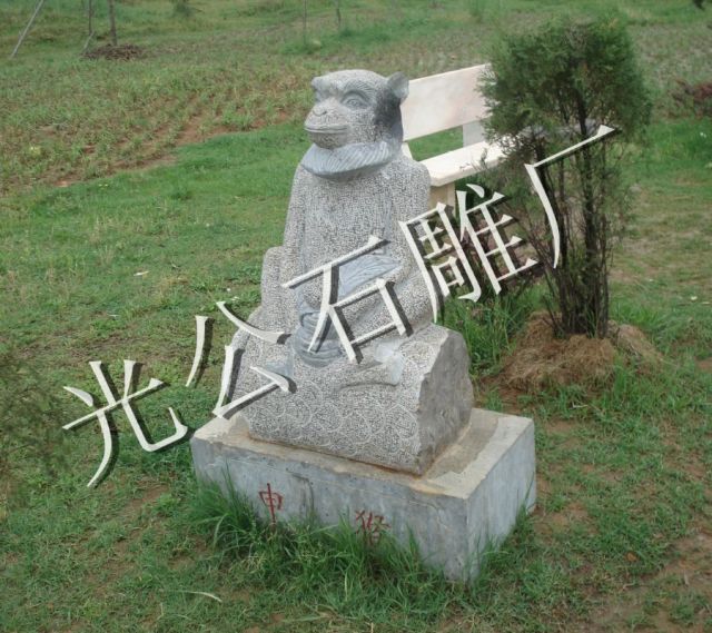 申猴